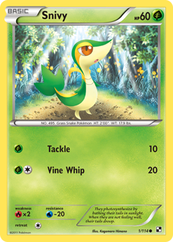 Black & White Pokemon TCG set