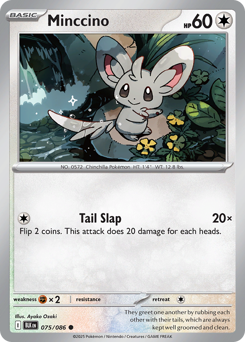 Minccino, Black Bolt #75, Pokémon TCG card