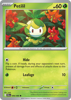 Petilil, Black Bolt #6, Pokémon TCG card