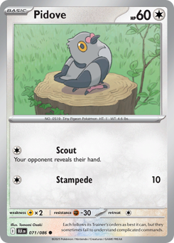 Pidove, Black Bolt #71, Pokémon TCG card