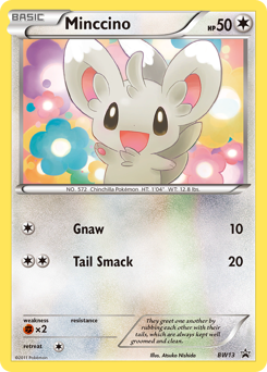 Minccino, BW Black Star Promos #BW13, Pokémon TCG card