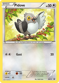 Pidove, BW Black Star Promos #BW15, Pokémon TCG card