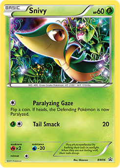 Snivy, BW Black Star Promos #BW06, Pokémon TCG card