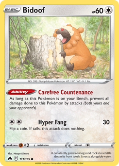 Bidoof, Crown Zenith #111, Pokémon TCG card