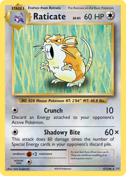 Raticate, Evolutions #67, Pokémon TCG card