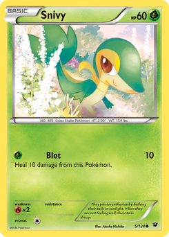 Snivy, Fates Collide #5, Pokémon TCG card