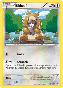 Bidoof, Primal Clash #116, Pokémon TCG card