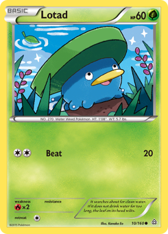 Lotad, Primal Clash #10, Pokémon TCG card