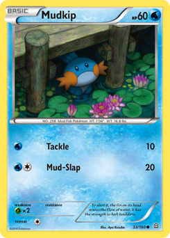 Mudkip, Primal Clash #33, Pokémon TCG card