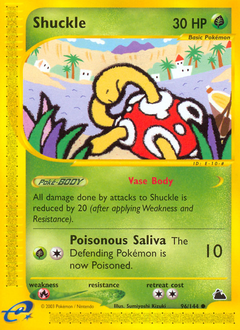 Shuckle, Skyridge #96, Pokémon TCG card