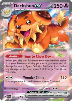 Dachsbun ex, Stellar Crown #67, Pokémon TCG card