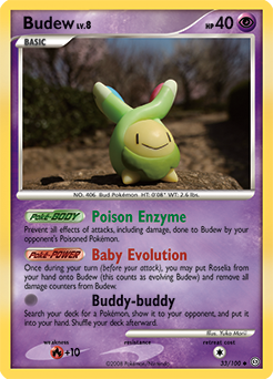 Budew, Stormfront #33, Pokémon TCG card