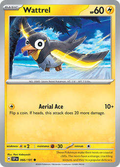 Wattrel, Surging Sparks #66, Pokémon TCG card