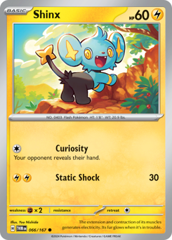 Shinx, Twilight Masquerade #66, Pokémon TCG card