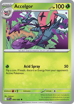 Accelgor, White Flare #9, Pokémon TCG card