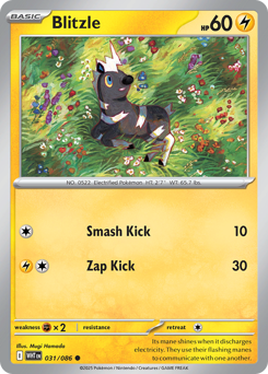 Blitzle, White Flare #31, Pokémon TCG card