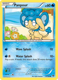 Panpour, XY #37, Pokémon TCG card