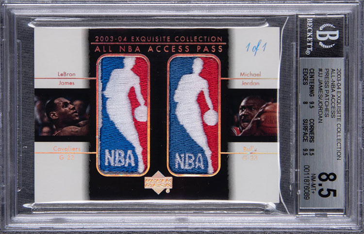 LeBron James/ Michael Jordan